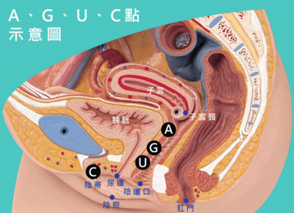 妹子的“G、A、C、U”点都在哪里？有什么作用？-颜夕资源网-第12张图片